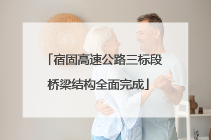 宿固高速公路三标段桥梁结构全面完成