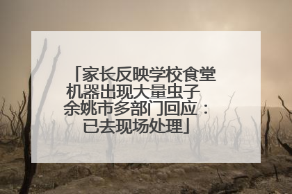 家长反映学校食堂机器出现大量虫子 余姚市多部门回应：已去现场处理