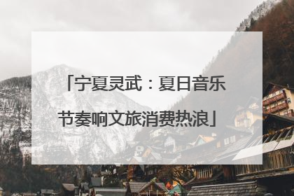宁夏灵武：夏日音乐节奏响文旅消费热浪
