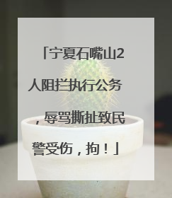 宁夏石嘴山2人阻拦执行公务，辱骂撕扯致民警受伤，拘！
