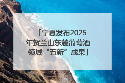 宁夏发布2025年贺兰山东麓葡萄酒领域“五新”成果