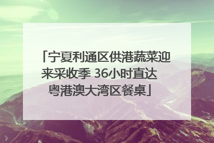 宁夏利通区供港蔬菜迎来采收季 36小时直达粤港澳大湾区餐桌
