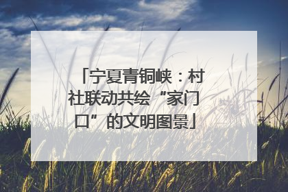 宁夏青铜峡：村社联动共绘“家门口”的文明图景