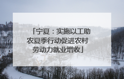 宁夏：实施以工助农夏季行动促进农村劳动力就业增收