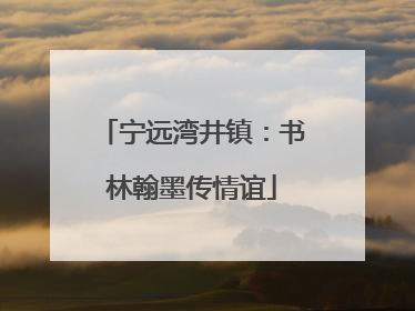 宁远湾井镇：书林翰墨传情谊