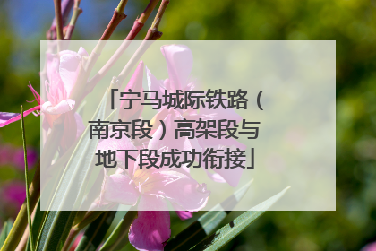 宁马城际铁路（南京段）高架段与地下段成功衔接