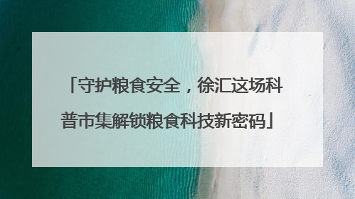守护粮食安全，徐汇这场科普市集解锁粮食科技新密码