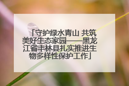 守护绿水青山 共筑美好生态家园——黑龙江省丰林县扎实推进生物多样性保护工作
