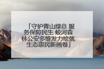 守护青山绿意 服务保障民生 蛟河森林公安多维发力绘就生态惠民新画卷