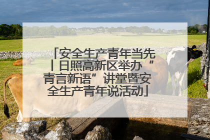 安全生产青年当先丨日照高新区举办“青言新语”讲堂暨安全生产青年说活动