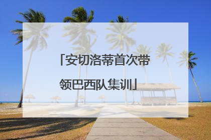 安切洛蒂首次带领巴西队集训