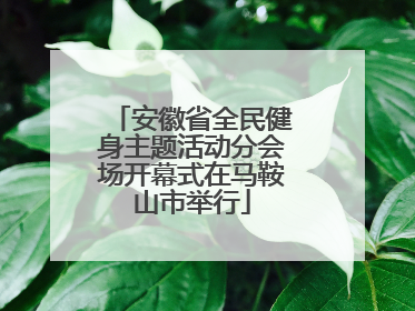 安徽省全民健身主题活动分会场开幕式在马鞍山市举行