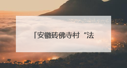 安徽砖佛寺村“法律明白人”金其华：把群众当家人，群众也把我当亲人
