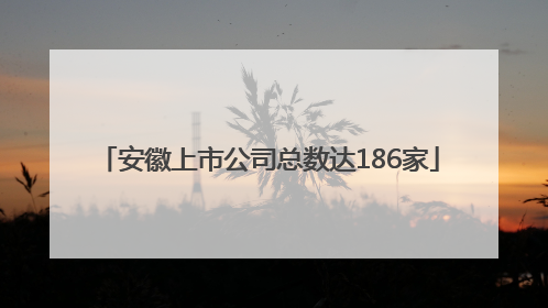 安徽上市公司总数达186家