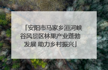 安阳市马家乡洹河峡谷风景区林果产业蓬勃发展 助力乡村振兴