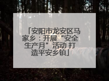 安阳市龙安区马家乡：开展“安全生产月”活动 打造平安乡镇