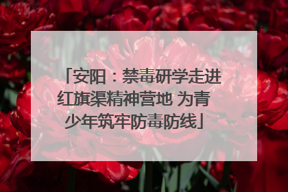 安阳：禁毒研学走进红旗渠精神营地 为青少年筑牢防毒防线