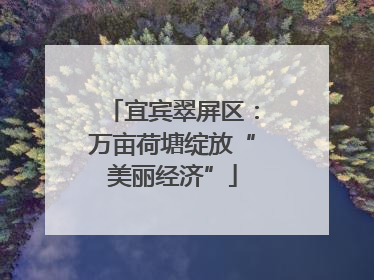 宜宾翠屏区：万亩荷塘绽放“美丽经济”