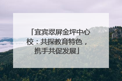 宜宾翠屏金坪中心校：共探教育特色，携手共促发展