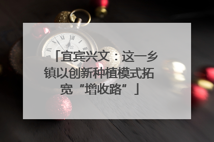 宜宾兴文：这一乡镇以创新种植模式拓宽“增收路”