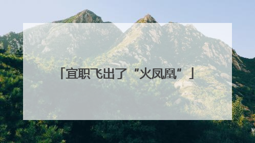 宜职飞出了“火凤凰”