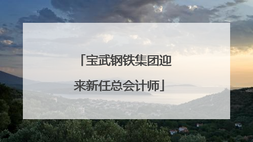 宝武钢铁集团迎来新任总会计师