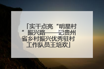 实干点亮“明星村”振兴路——记贵州省乡村振兴优秀驻村工作队员王培欢