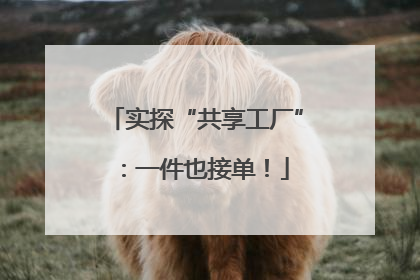 实探“共享工厂”：一件也接单！
