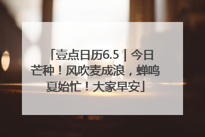 壹点日历6.5｜今日芒种！风吹麦成浪，蝉鸣夏始忙！大家早安