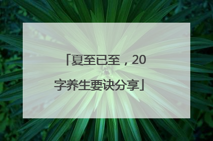 夏至已至，20字养生要诀分享
