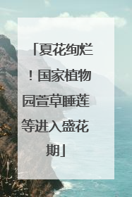 夏花绚烂！国家植物园萱草睡莲等进入盛花期