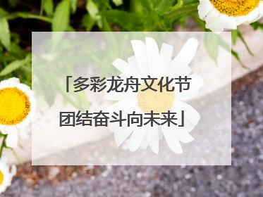 多彩龙舟文化节 团结奋斗向未来