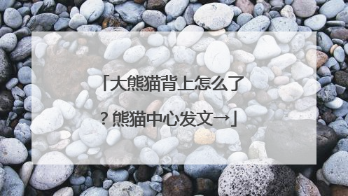 大熊猫背上怎么了？熊猫中心发文→