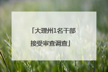大理州1名干部接受审查调查