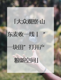 大众观察·山东麦收一线丨“一块田”打开产粮新空间