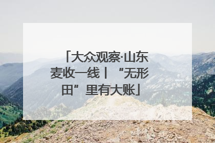 大众观察·山东麦收一线丨“无形田”里有大账