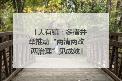大有镇：多措并举推动“两清两改两治理”见成效