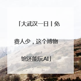 大武汉一日丨免费人少，这个博物馆还能玩AI
