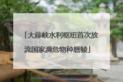 大藤峡水利枢纽首次放流国家濒危物种唇鲮