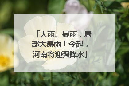 大雨、暴雨，局部大暴雨！今起，河南将迎强降水