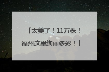 太美了！11万株！福州这里绚丽多彩！