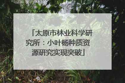 太原市林业科学研究所：小叶杨种质资源研究实现突破