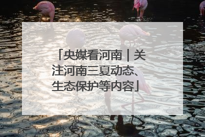 央媒看河南｜关注河南三夏动态、生态保护等内容