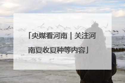 央媒看河南｜关注河南夏收夏种等内容