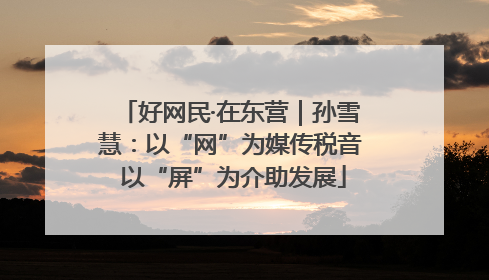 好网民·在东营｜孙雪慧：以“网”为媒传税音 以“屏”为介助发展