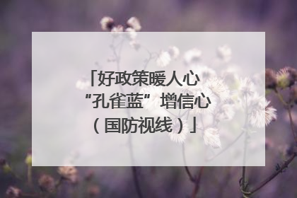 好政策暖人心 “孔雀蓝”增信心（国防视线）
