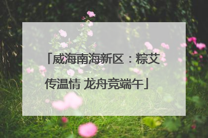 威海南海新区：粽艾传温情 龙舟竞端午