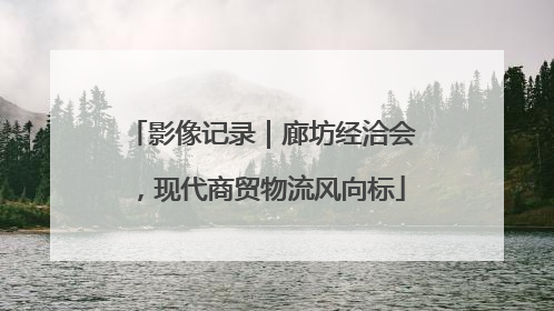 影像记录｜廊坊经洽会，现代商贸物流风向标