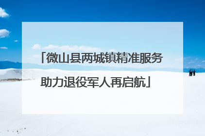 微山县两城镇精准服务助力退役军人再启航