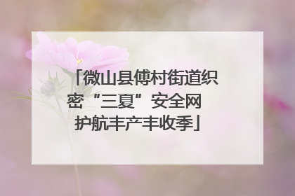 微山县傅村街道织密“三夏”安全网 护航丰产丰收季